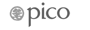 pico-3